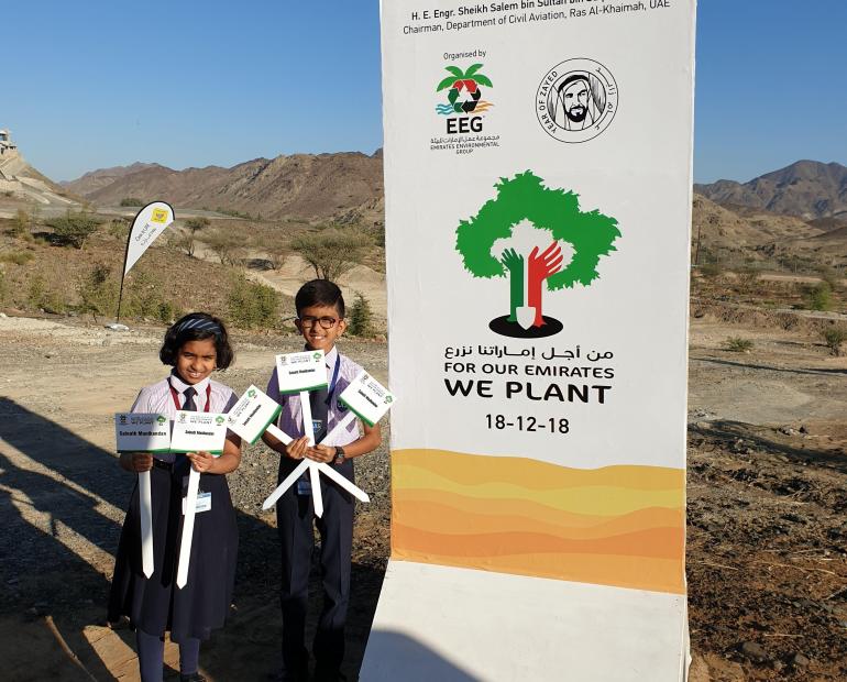 Plant trees