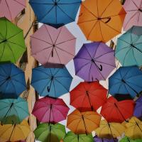 Colourful umbrellas are strung above a street. 