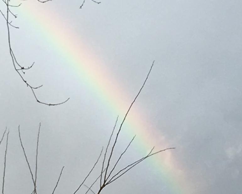 A rainbow