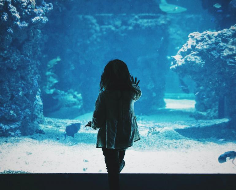 image of a little girl from behind