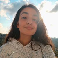 Brunette girl smiling looking at the camera on a sunny day