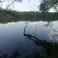 It's a picture of a lake