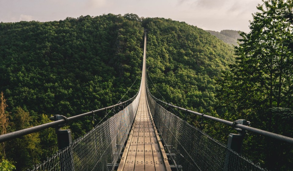 A nrarrow suspension bridge 