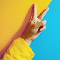 A hand making the peace sign.
